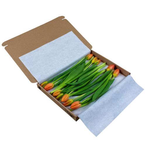 Tulips in giftbox - Image 4